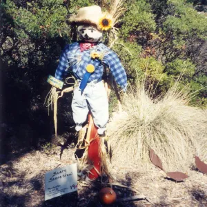 Scarecrow Contest