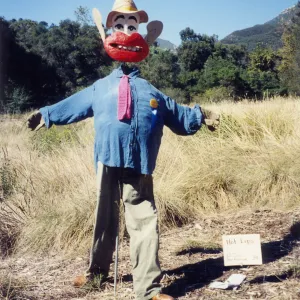 Scarecrow Contest