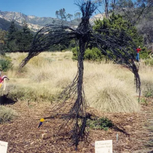 Scarecrow Contest