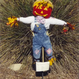 Scarecrow Contest