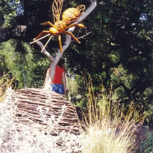 Big Bugs Exhibit