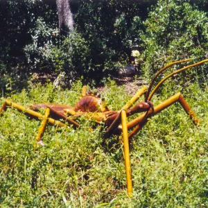 Big Bugs Exhibit
