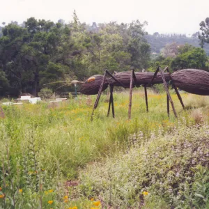 Big Bugs Exhibit--Ant