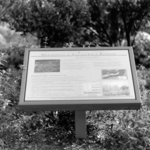 Designing a California Border interpretive sign