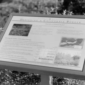 Designing a California Border interpretive sign