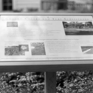 Ground Covers and Turf Substitutes interpretive sign