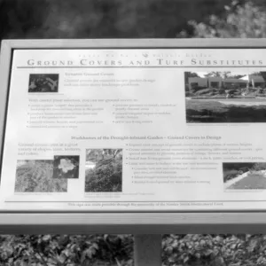 Ground Covers and Turf Substitutes interpretive sign