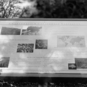 Chaparral-A California Specialty interpretive sign