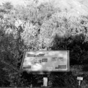 Chaparral-A California Specialty interpretive sign