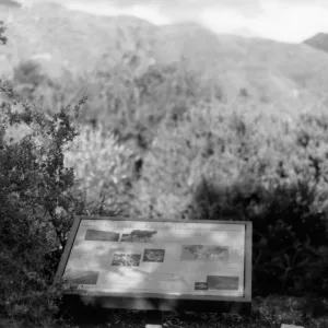 Chaparral-A California Specialty interpretive sign