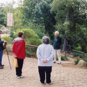 Garden visitors