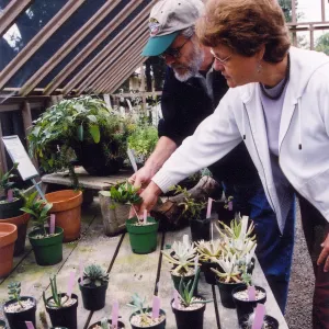 Visitors in nursery