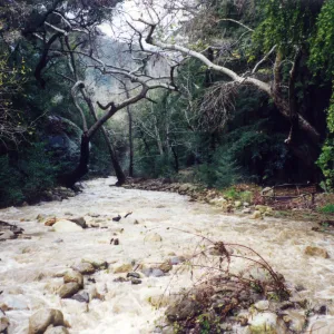 Mission Dam