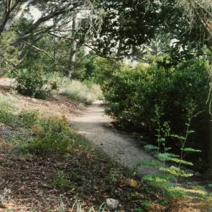 Porter Trail