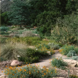 Meadow, upper east side