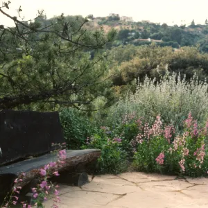 Porter Trail, bench
