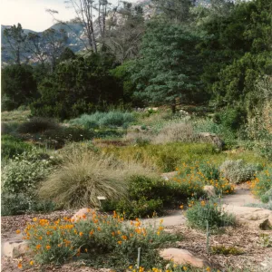 Ground cover section