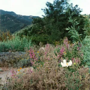 Porter Trail