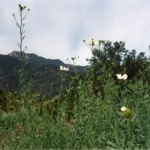 Porter Trail