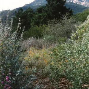 Porter Trail