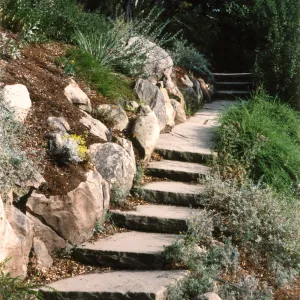 Steps--Mission Canyon Rd. to Porter Trail