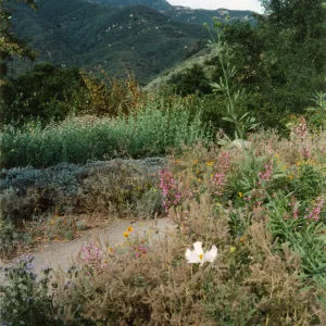 Porter Trail