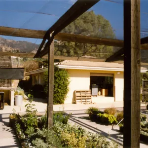 Horticulture yard, looking north