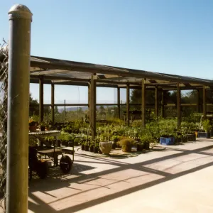 Horticulture yard, Shade #1