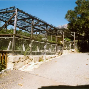 Canyard, Garden Growers, looking north
