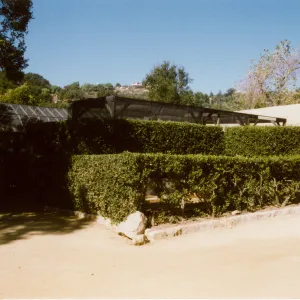 Courtyard, Garden Growers Nursery
