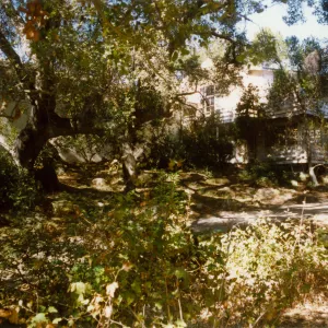 Rear of North wing, Herbarium from Arroyo