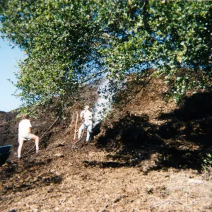 Mulch pile on ridge above Hort Unit that caught on fire and was removed