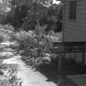 2014 AAM Accreditation Self-Study Documentation: Home Demonstration Garden (east view)