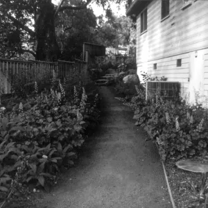 2014 AAM Accreditation Self-Study Documentation: Home Demonstration Garden (west view)