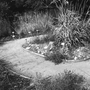 2014 AAM Accreditation Self-Study Documentation: Bunchgrass display