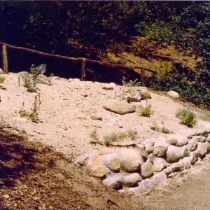 New Dune / Riverbed display in Island Section, summer 1992