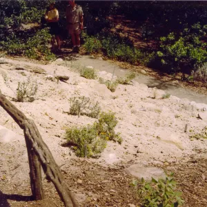 New Dune / Riverbed display in Island Section, summer 1992