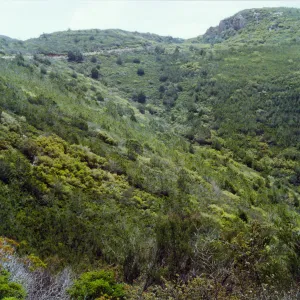 Trip to Otay Mountain, Otay Mountain, San Diego County