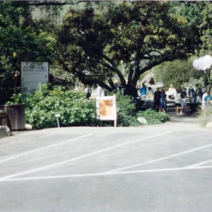 70th Birthday, 1996