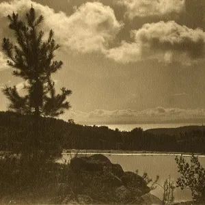 View across pond at upper meadow towards Channel Islands
