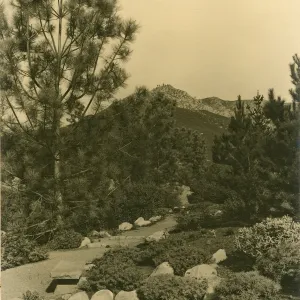View of Island Trail and Pool