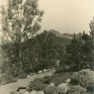 View of Island Trail and Pool