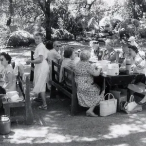 American Herb Society picnic lunch