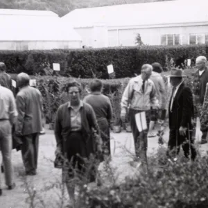 Fall Plant Sale