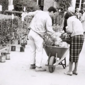 Fall Plant Sale