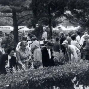 Plant Sale