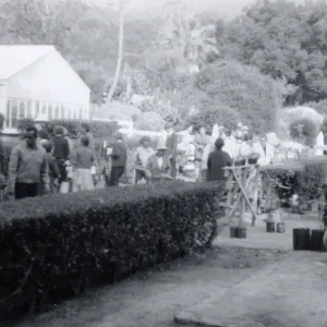 Plant Sale