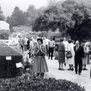 Jackie Broughton, Plant Sale
