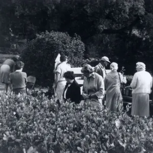 Plant Sale