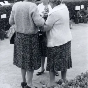 Plant Sale